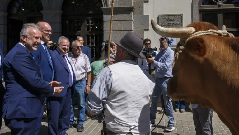 Hereu y Torres destacan la proyección del Pino con su declaración de Interés Nacional