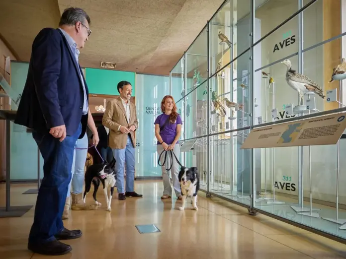 Mascotas en centros de Museos de Tenerife. Imagen Cabildo de Tenerife
