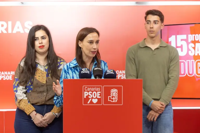El PSOE en Canarias acusa al Gobierno autonómico de descuidar la educación pública
