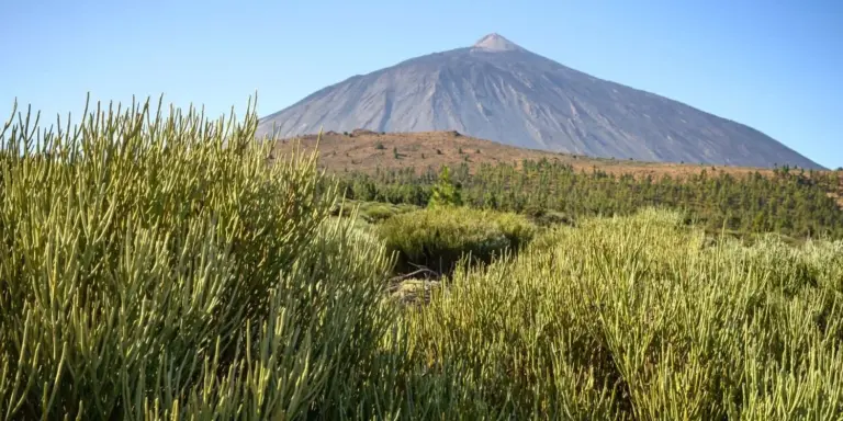 El Cabildo de Tenerife prohíbe fumar en todo el Parque Nacional del Teide tras los últimos incendios en espacios protegidos