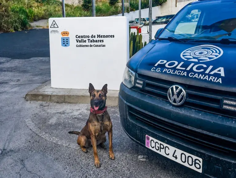 Detenida una mujer por intentar introducir hachís en un centro de menores de Tenerife