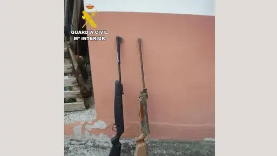 Detenido por matar a disparos a dos perros para amenazar a una familiar