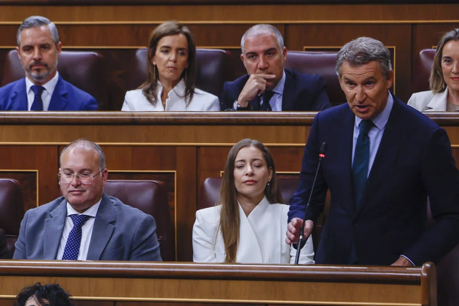 El líder del PP, Alberto Núñez Feijóo, durante su intervención este miércoles en la sesión de control al Ejecutivo en la que el presidente del Gobierno, Pedro Sánchez, responde a preguntas del PP, PNV y Podemos. EFE/ Javier Lizon
