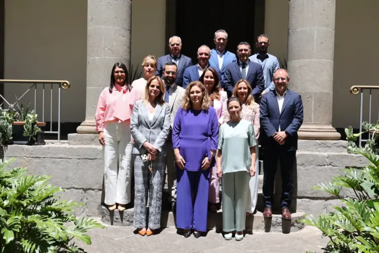 El Parlamento de Canarias aprueba la Ley de Cabildos, que blinda sus competencias