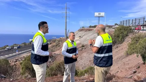 Proyecto para la regeneración paisajística de un talud de Mercatenerife