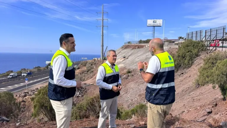 Proyecto para la regeneración paisajística de un talud de Mercatenerife