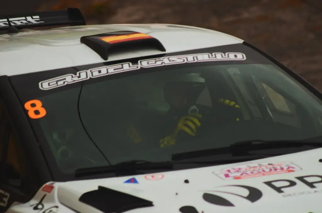 12 RALLY CIUDAD DE LA LAGUNA