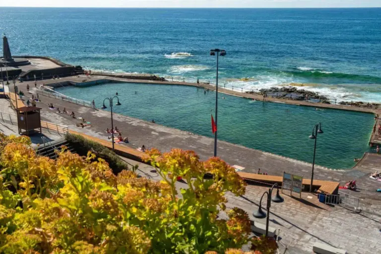 Greenpeace alerta que alrededor de 150 kilómetros de costa canaria se encuentran en peligro