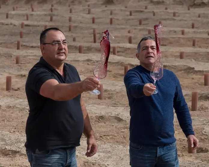 Bodegas Conatvs