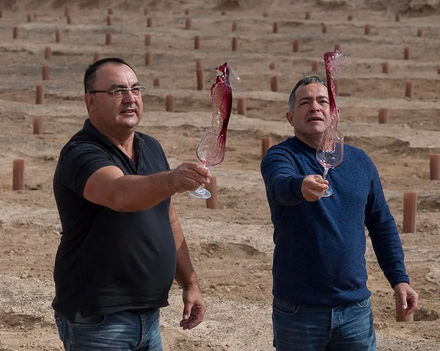 Bodegas Conatvs
