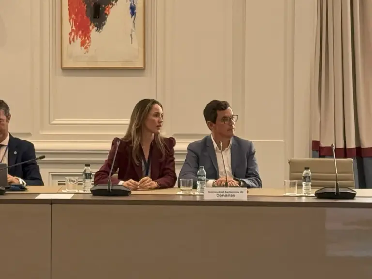 Canarias reclama adaptar las políticas de movilidad a su realidad insular