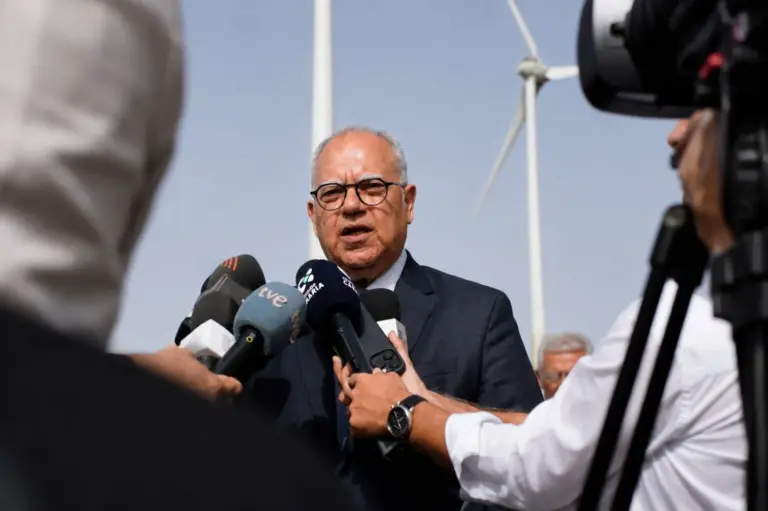 La Gomera cubre el 100 % de su demanda eléctrica con energía eólica en días de julio