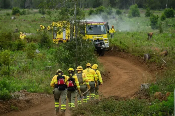 Tenerife evalúa el dispositivo antiincendios con un simulacro forestal
