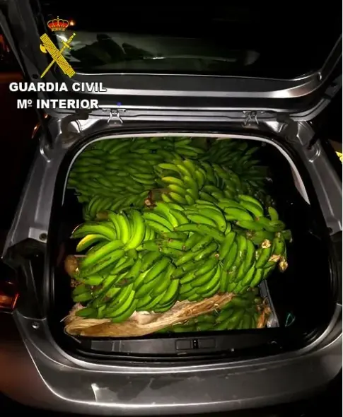 Investigan a siete personas por robar 950 kg de aguacates y 280 kg de plátanos en Tenerife