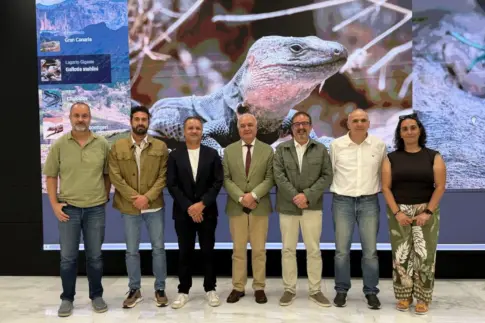 Gran Canaria lidera un proyecto europeo para proteger reptiles endémicos de especies invasoras