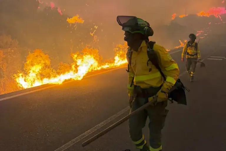 Mueren 12 personas en un incendio forestal en Almería