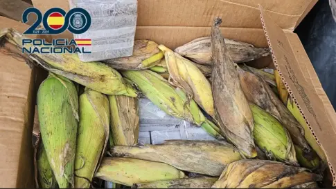 Cae una organización criminal de tráfico de drogas entre las islas y se incautan 350 kilos de hachís
