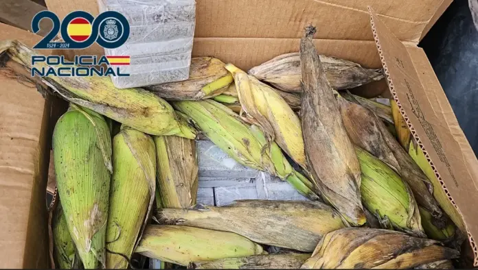 La Policía Nacional desarticula una organización criminal dedicada al tráfico de droga entre las islas e interviene 350 kilogramos de hachís