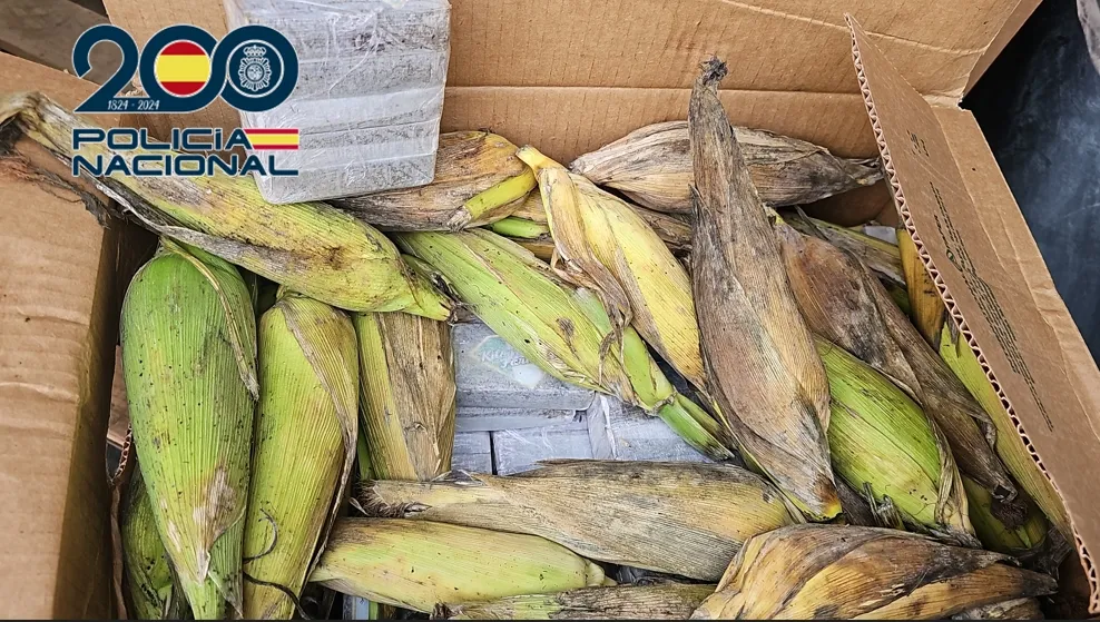 La Policía Nacional desarticula una organización criminal dedicada al tráfico de droga entre las islas e interviene 350 kilogramos de hachís