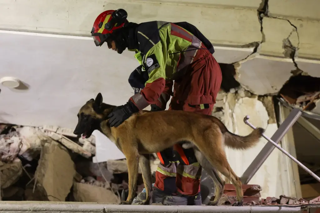 Terremoto Venezuela Reuters 2 julio 2026