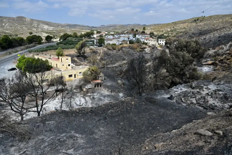 El fallecimiento de una mujer británica de 93 años eleva a 13 las víctimas mortales del incendio de Almería