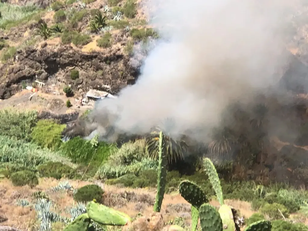 Declarado un conato de incendio en Masca a 50 metros de viviendas