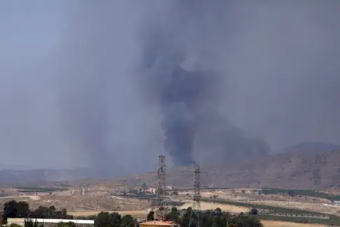 El incendio forestal de Almería ha evolucionado «relativamente bien»