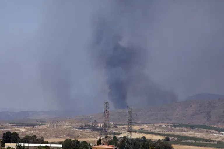 El incendio forestal de Almería ha evolucionado «relativamente bien»
