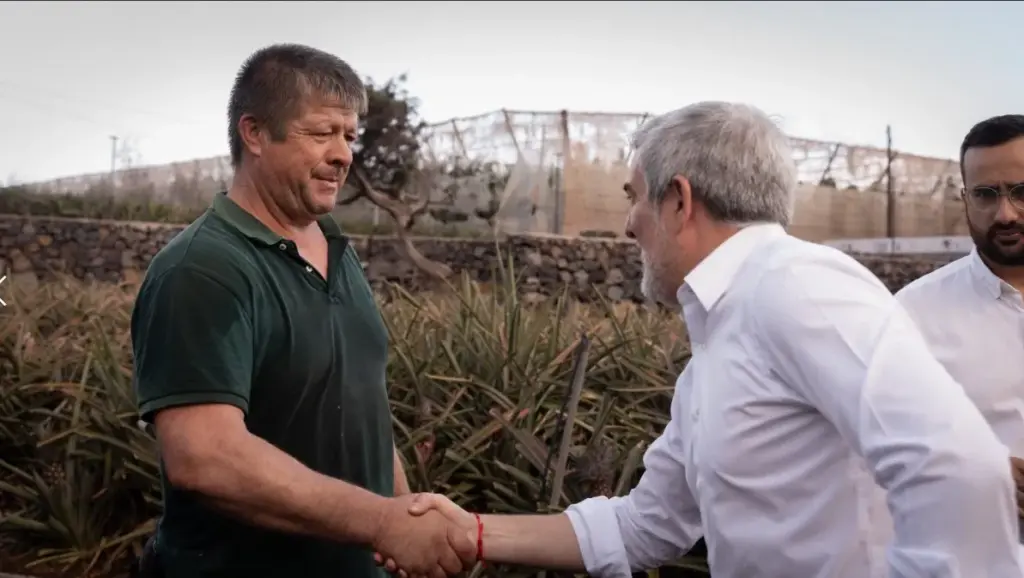 avijo reafirma el compromiso del Gobierno de Canarias con la recuperación de la piña tropical de El Hierro