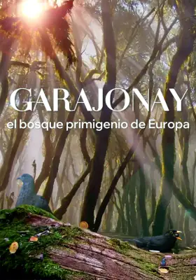 Programas de Televisión Canaria en CanariasPlay