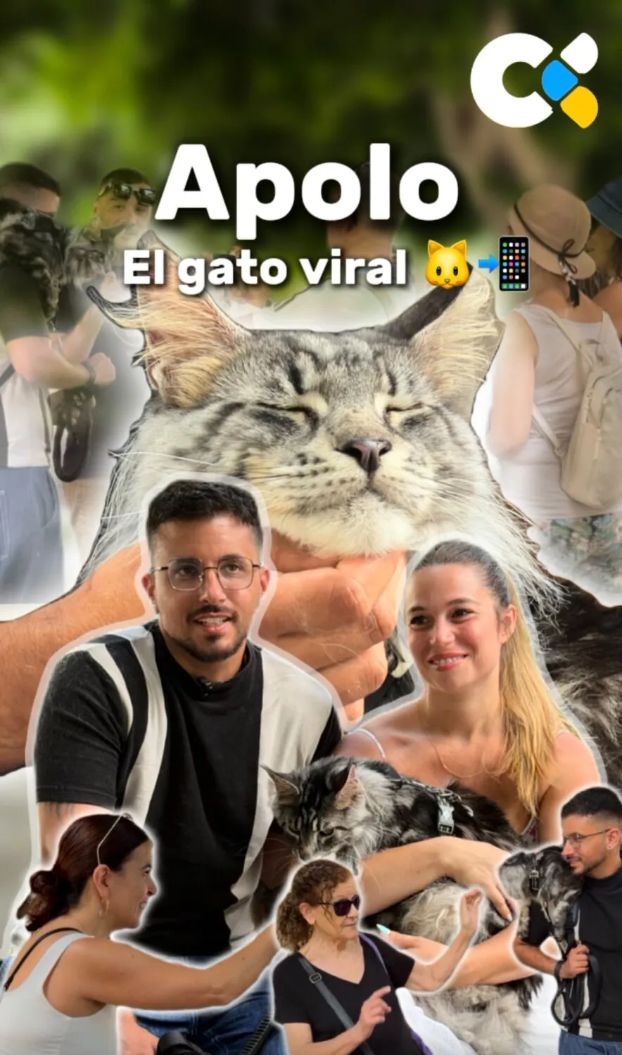 Videos Cortos de Youtube e Instagram de Radio Televisión Canaria