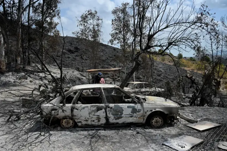 El incendio de Los Gallardos (Almería) podría quedar controlado este lunes, según Moreno