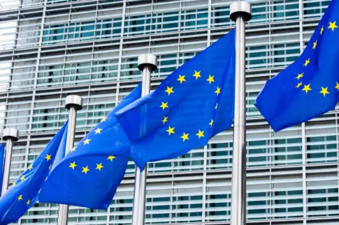 Canarias pide a Bruselas un «protocolo coordinado» de respuesta ante crisis migratorias como la de Ceuta