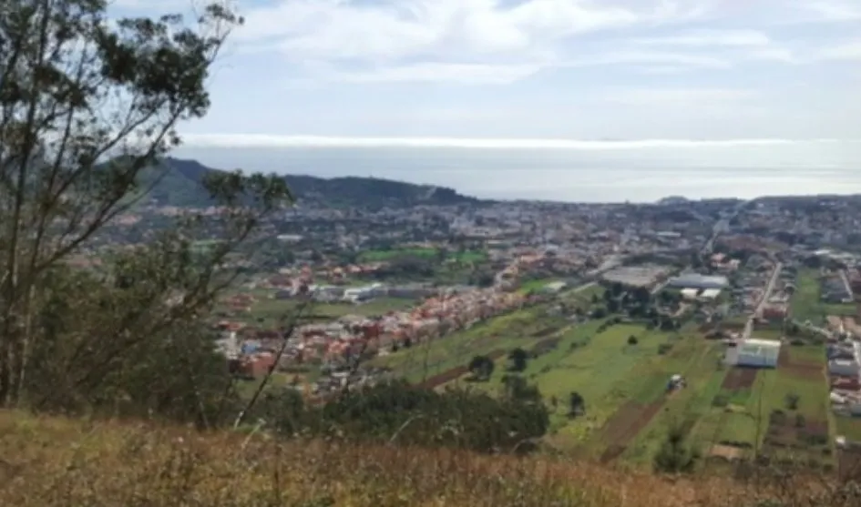 Camino Tornero La Laguna