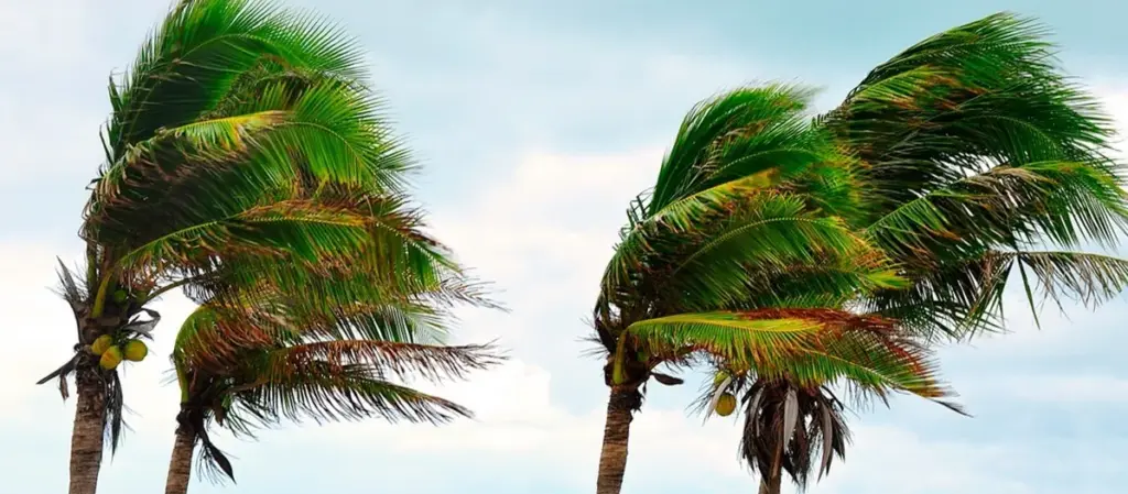 Viento en Canarias