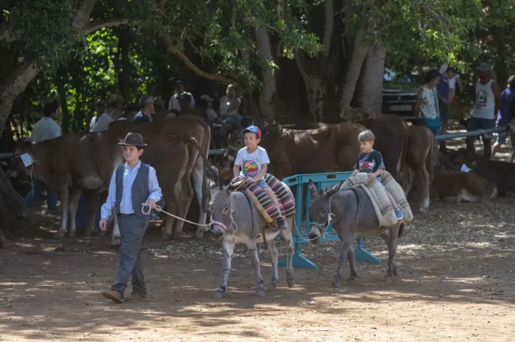 La Finca de Osorio acoge este domingo la Feria de Ganado del Pino con la participación de 37 ganaderos de la isla