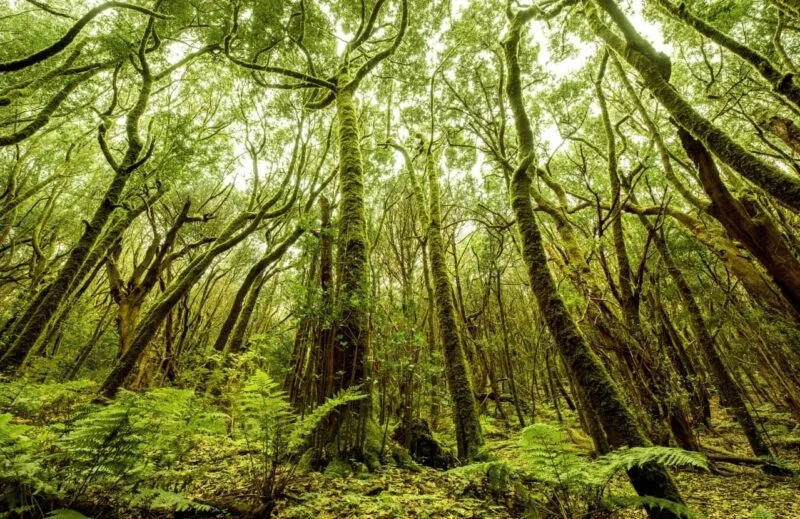 Turismo La Gomera promociona la isla en varias ciudades de Noruega