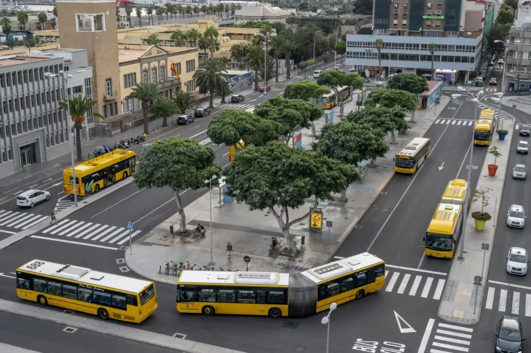 Guaguas Municipales refuerza la conexión con El Sebadal y la Zona Portuaria con la nueva Línea 19