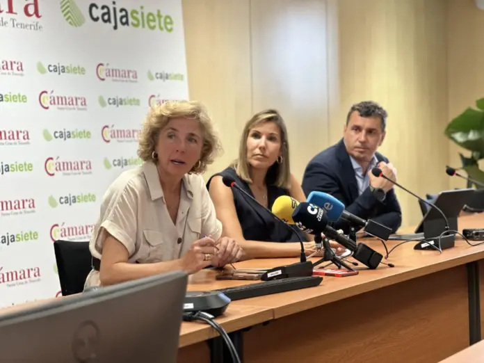 El comercio canario modera su crecimiento en el segundo trimestre del año