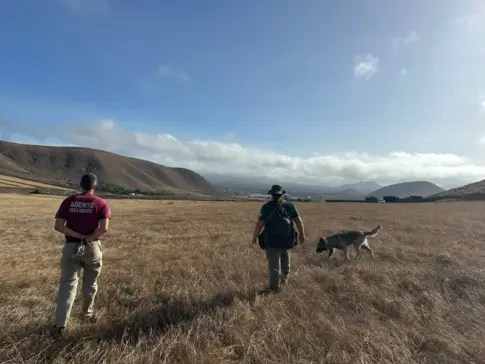 Activan un dispositivo especial de vigilancia en los cotos de caza de Lanzarote y La Graciosa