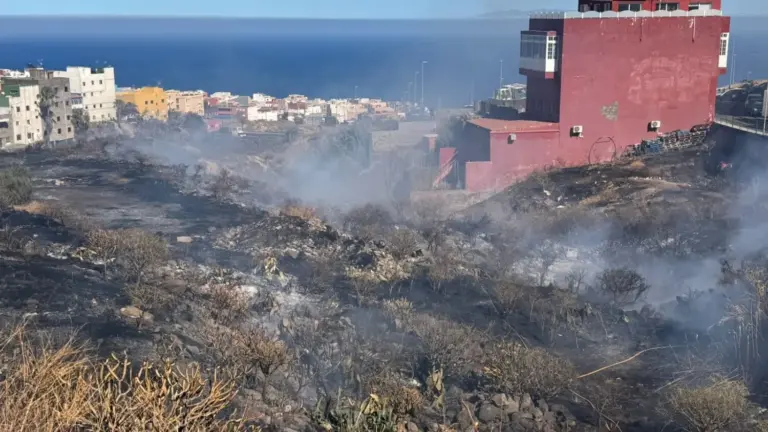 Controlado el incendio en Barranco Grande en la zona de La Gallega, Tenerife