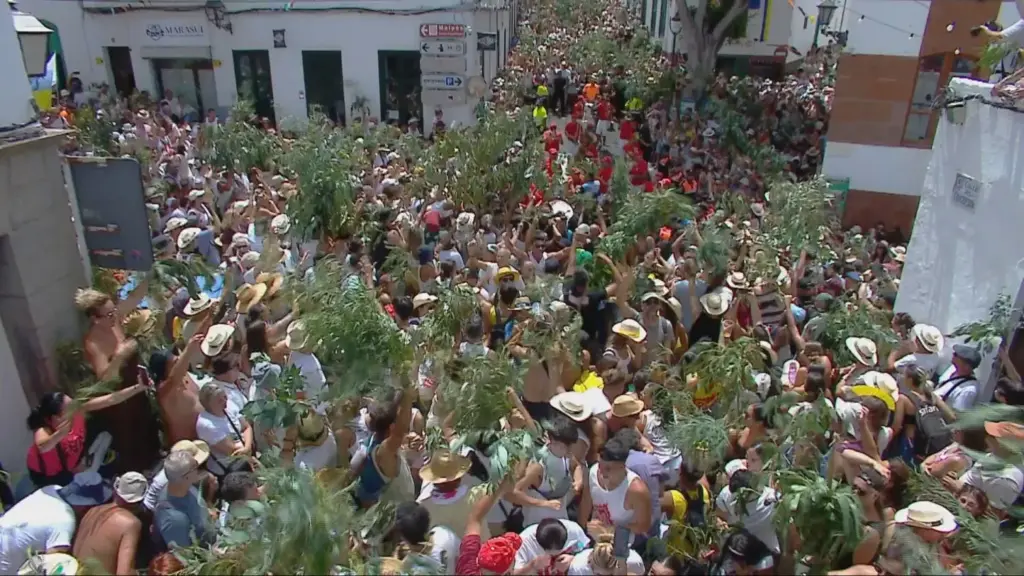 Los asistentes a La Rama de Agaete bailan con las ramas en alto. Imagen RTVC
