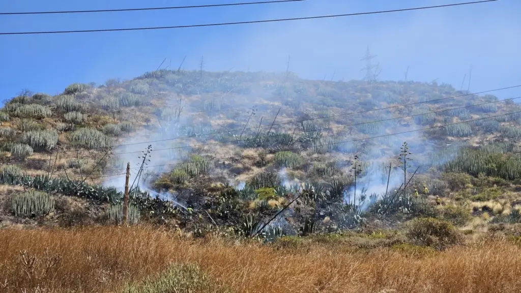 Conato de incendio en Valle Tabares. Imagen Daniel Fuentes