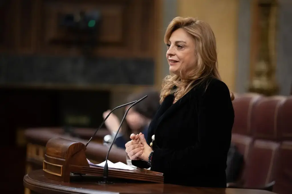 La diputada de CC, Cristina Valido, en el Congreso. Imagen de recurso Coalición Canaria