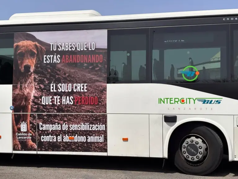 Lanzarote lleva a las guaguas una campaña contra el abandono de perros