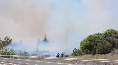 Incendio en unos cañaverales de Parque Holandés, en Fuerteventura