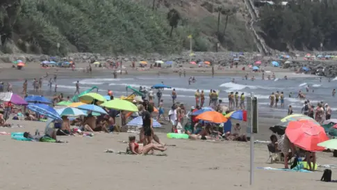 El sector turístico evita dramatizar por presencia de roedores en playas de Gran Canaria