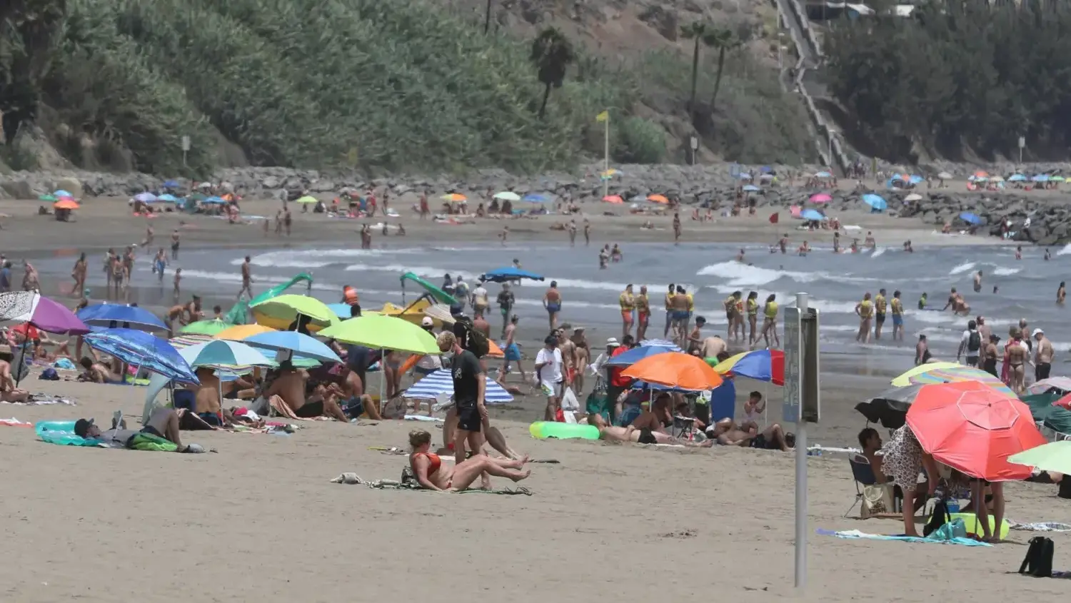 El sector turístico evita dramatizar por presencia de roedores en playas de Gran Canaria
