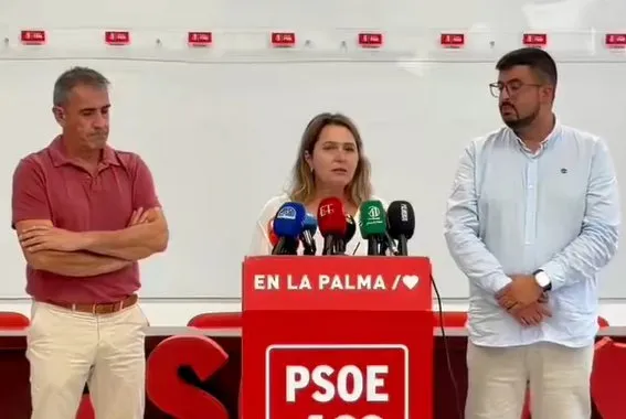 Rueda de prensa de la diputada socialista Alicia Vanoostende.