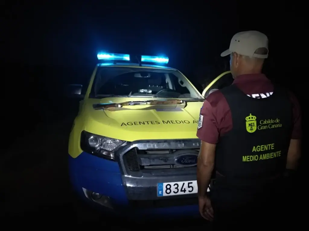 Intervienen 16 conejos muertos a dos presuntos furtivos en Los Marteles, en Gran Canaria